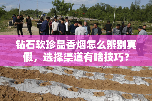 钻石软珍品香烟怎么辨别真假，选择渠道有啥技巧？